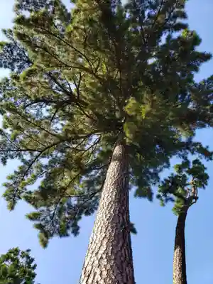 中野沼袋氷川神社(東京都)