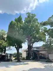 春日神社(福岡県)