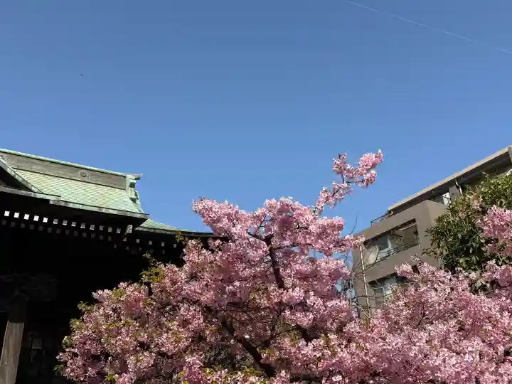 桜神宮の{uncategorized: "未分類", other: "その他", undefined: "問題あり", building: "その他建物", grave: "お墓", sacred_gate: "鳥居", guardian: "狛犬", statue: "像", buddha: "仏像", history: "歴史", nature: "自然", garden: "庭園", animal: "動物", pagoda: "塔", temizu: "手水舎", mountain_gate: "山門・神門", sanctuary: "本殿・本堂", subordinate: "末社・摂社", art: "芸術", scenery: "景色", jizo: "地蔵", ema: "絵馬", goshuin: "御朱印", omikuji: "おみくじ", items: "授与品その他", amulet: "お守り", goshuincho: "御朱印帳", eats: "食事", festival: "お祭り", votive_dance: "神楽", shichigosan: "七五三参", wedding: "結婚式", experience: "体験その他", initially: "初詣", around: "周辺", anti_infection: "感染症対策"}