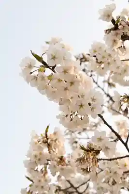 実報寺(愛媛県)