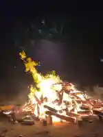 住吉宮の{uncategorized: "未分類", other: "その他", undefined: "問題あり", building: "その他建物", grave: "お墓", sacred_gate: "鳥居", guardian: "狛犬", statue: "像", buddha: "仏像", history: "歴史", nature: "自然", garden: "庭園", animal: "動物", pagoda: "塔", temizu: "手水舎", mountain_gate: "山門・神門", sanctuary: "本殿・本堂", subordinate: "末社・摂社", art: "芸術", scenery: "景色", jizo: "地蔵", ema: "絵馬", goshuin: "御朱印", omikuji: "おみくじ", items: "授与品その他", amulet: "お守り", goshuincho: "御朱印帳", eats: "食事", festival: "お祭り", votive_dance: "神楽", shichigosan: "七五三参", wedding: "結婚式", experience: "体験その他", initially: "初詣", around: "周辺", anti_infection: "感染症対策"}