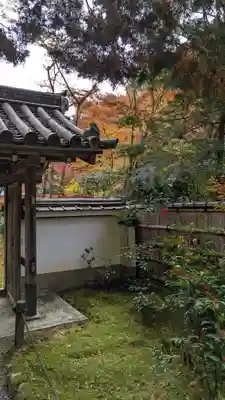 地蔵院(京都府)