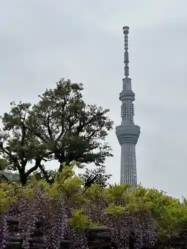 亀戸天神社(東京都)