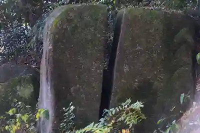 塩澤神社の自然