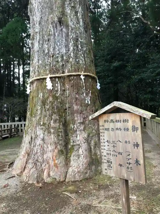 霧島神宮(鹿児島県)