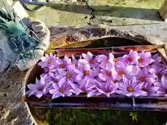 立志神社(滋賀県)