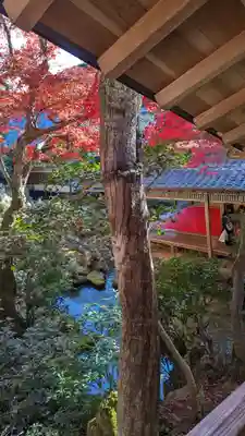 柳谷観音　楊谷寺(京都府)
