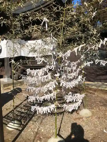 塩竈神社のおみくじ