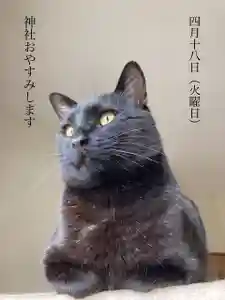 高司神社〜むすびの神の鎮まる社〜(福島県)(2023年04月17日(月) 12時47分57秒投稿)