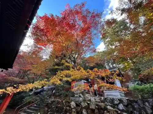 柳谷観音　楊谷寺(京都府)