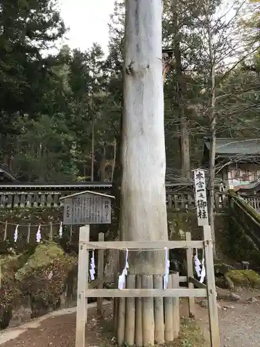 諏訪大社の自然