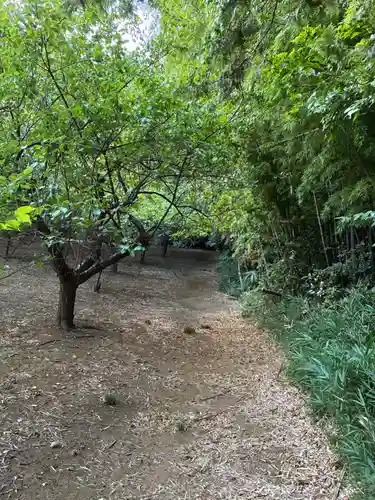 熊野神社(千葉県)