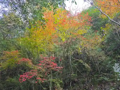 龍燈明神(京都府)