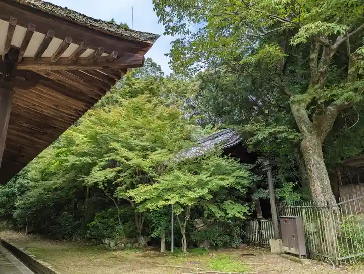 法界寺(日野薬師)(京都府)