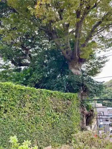 長壽寺（長寿寺）(神奈川県)