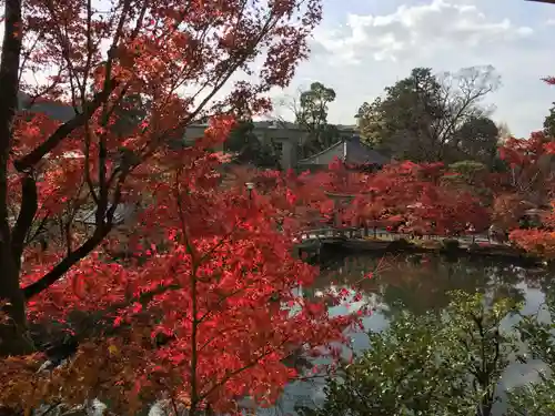 禅林寺（永観堂）の景色