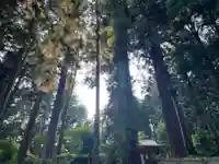 大宮温泉神社(栃木県)