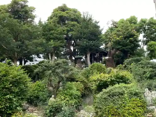 萬徳寺の庭園