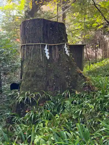 貴船神社結社(京都府)