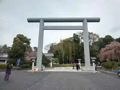 櫻木神社の鳥居