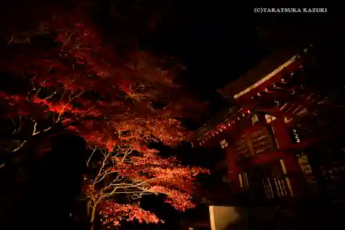 大山阿夫利神社の景色