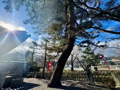 龍王宮秀郷社（橋守神社）(滋賀県)