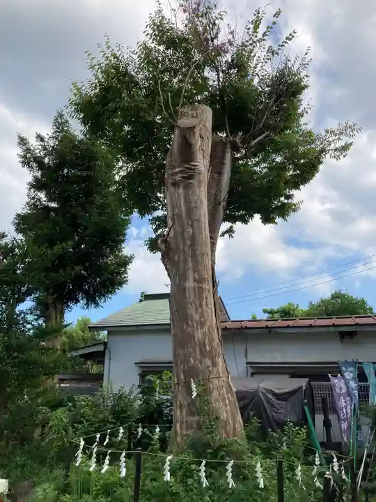 春日神社(神奈川県)