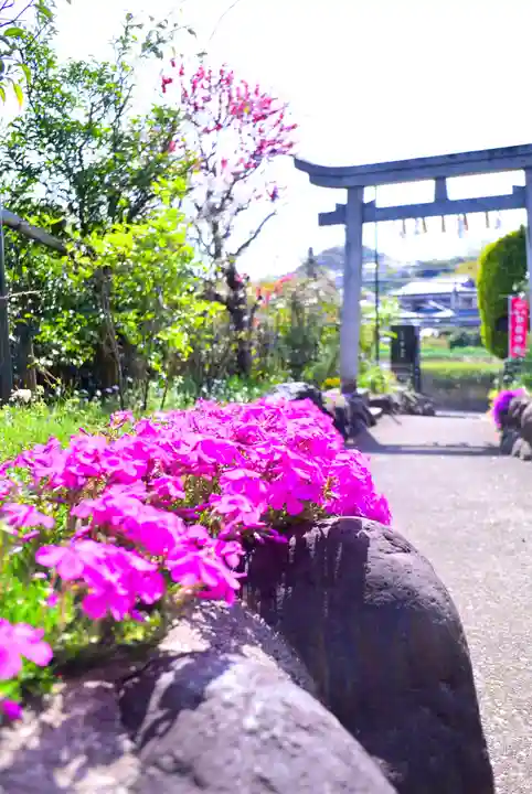 横浜御嶽神社(神奈川県)