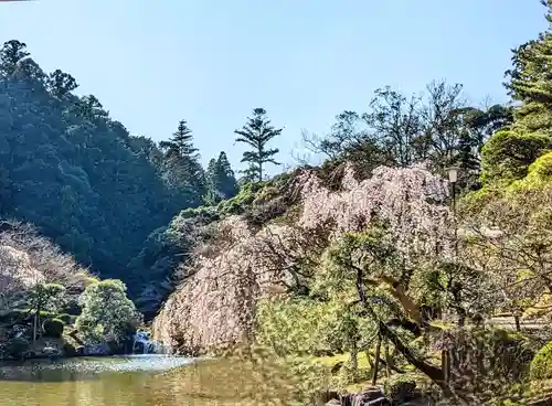 成田山新勝寺の自然