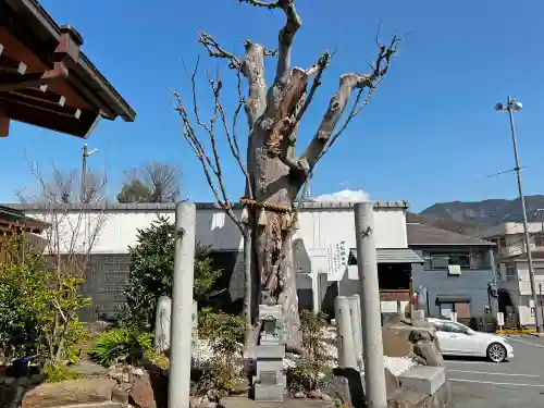甲斐奈神社(山梨県)