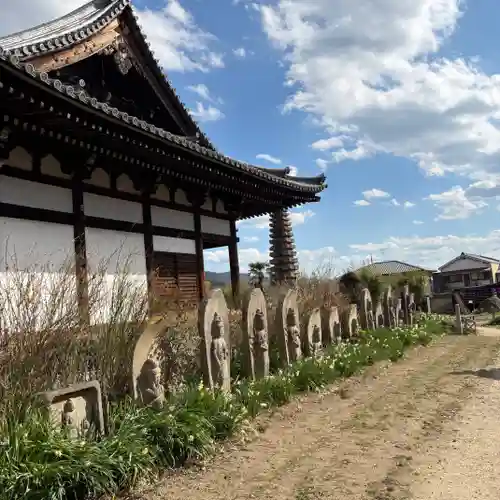 般若寺 ❁﻿コスモス寺❁(奈良県)