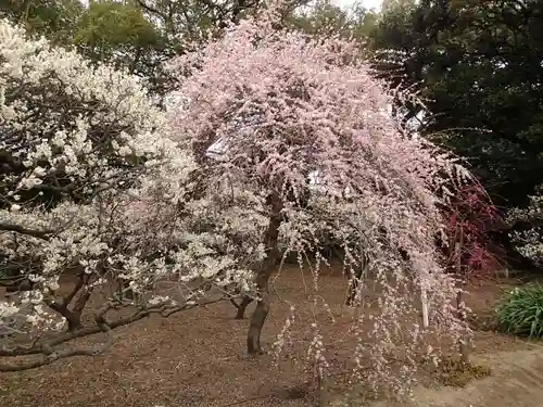 道明寺天満宮の庭園