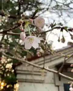 滑川神社 - 仕事と子どもの守り神(福島県)(2025年04月12日(土) 12時40分07秒投稿)