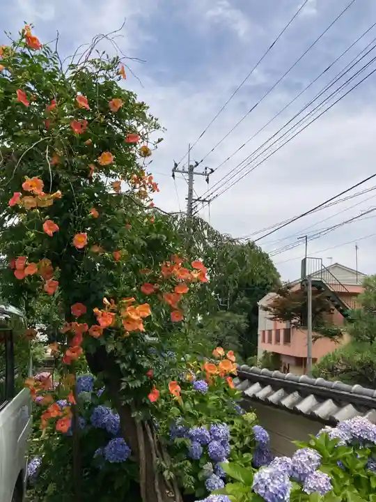 妙楽寺(神奈川県)