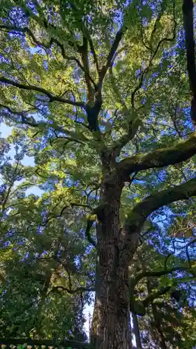 青蓮院門跡(京都府)