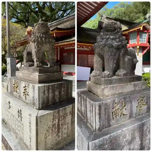 太宰府天満宮の狛犬