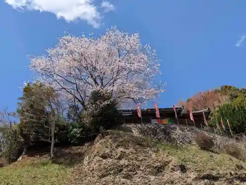 石内のお大師さん　金剛院の自然