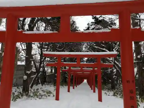 札幌伏見稲荷神社の鳥居