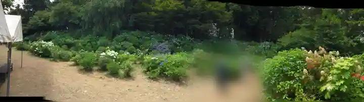 大宝八幡宮の庭園