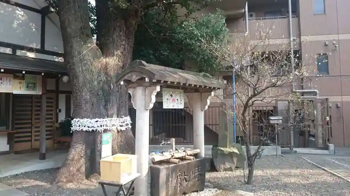 上目黒氷川神社の手水舎