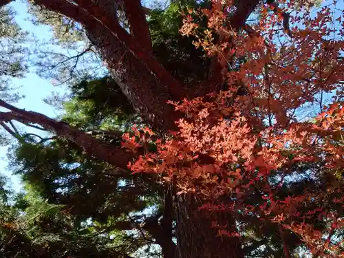 六甲比命大善神社(兵庫県)
