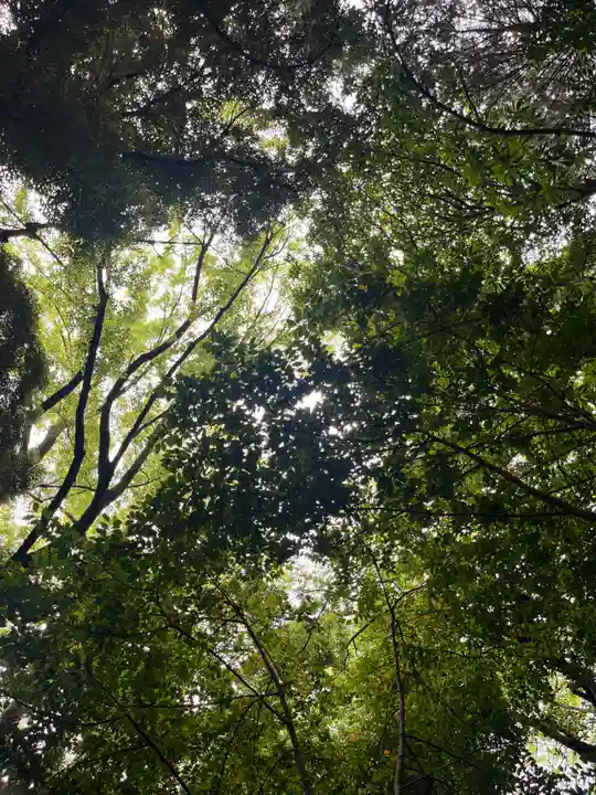 駒木諏訪神社(千葉県)