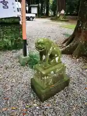 間々田八幡宮の狛犬