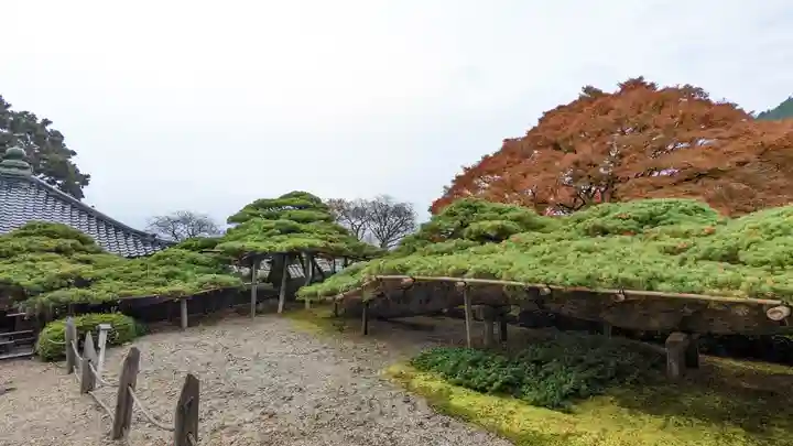 善峯寺(京都府)