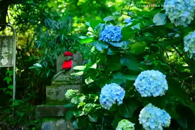 高幡不動尊　金剛寺(東京都)