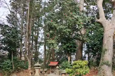 阿久津「田村神社」（郡山市阿久津町）旧社名：伊豆箱根三嶋三社の末社・摂社