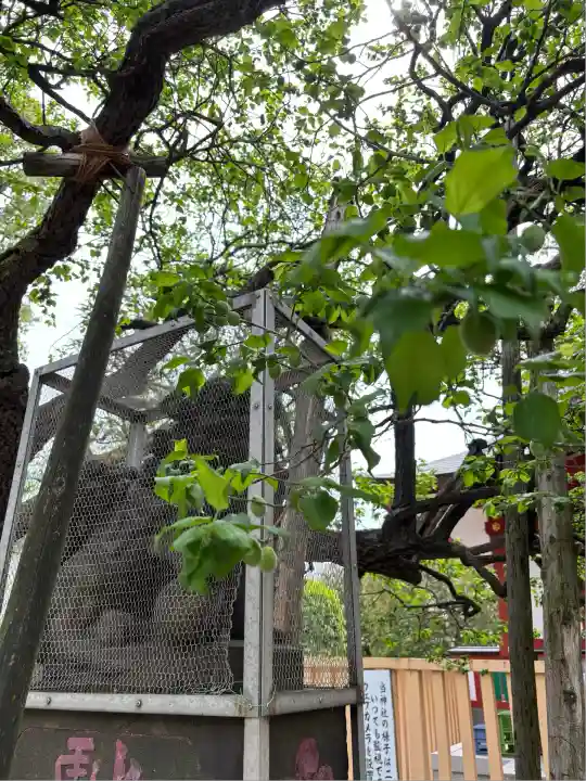 北野神社(東京都)