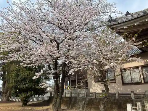 栖養八幡神社(徳島県)