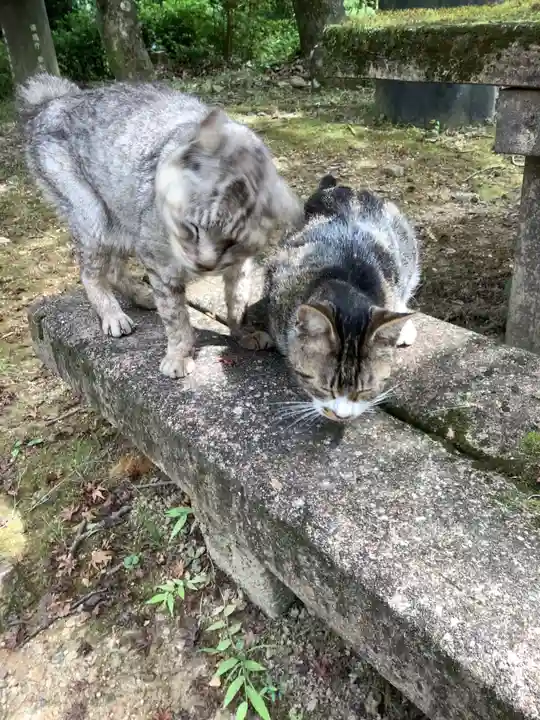 玉野御嶽神社の動物