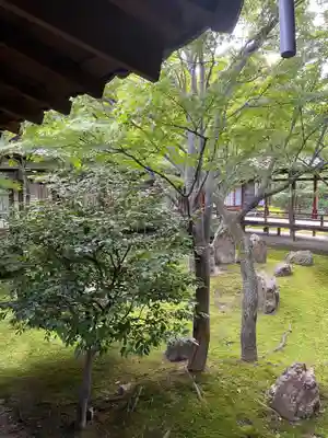 建仁寺（建仁禅寺）(京都府)